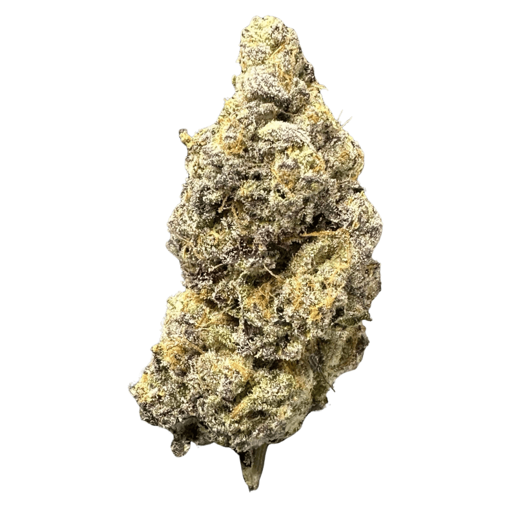 wildislands_glitzberry_2
